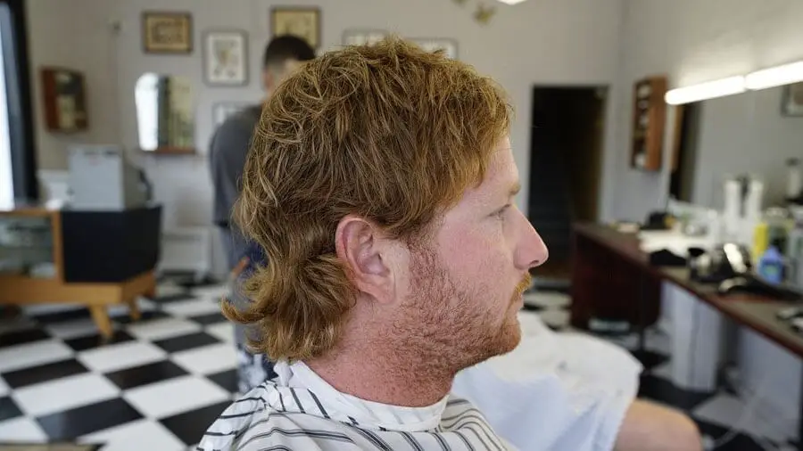 Bloodhound barbers haircut 1
